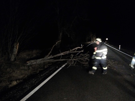 IMG 20190311 002733577 -- Odstranění spadlých stromů z komunikace č.325 v KÚ Horní Brusnice 